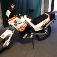 Cagiva cocis lucky explorer