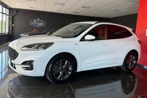 Ford Kuga 1.5 EcoBlue 120 CV aut. 2WD ST-Line Desi