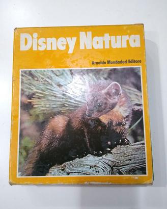 Raccolta Diseny Natura