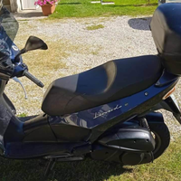 Leonardo 250 st2001