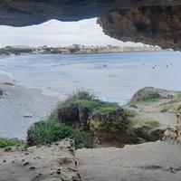 Autista patente B,D e Cqc Persone