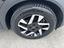 Immagine 7