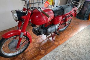 Aermacchi 250 ala azzurra