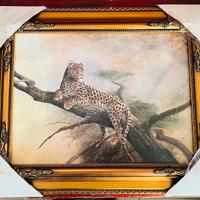 Quadro africano