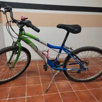 Bicicletta MTB 24