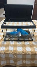 acquario 