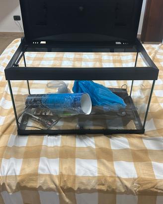 acquario 