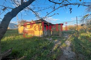 Casa Indipendente Venafro [VF RFDC90-85 C40VRG]