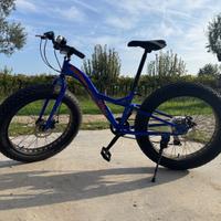 Bici Fat Bike