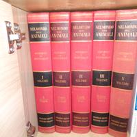 Enciclopedia Nel Mondo degli Animali