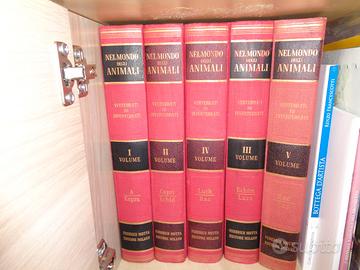 Enciclopedia Nel Mondo degli Animali