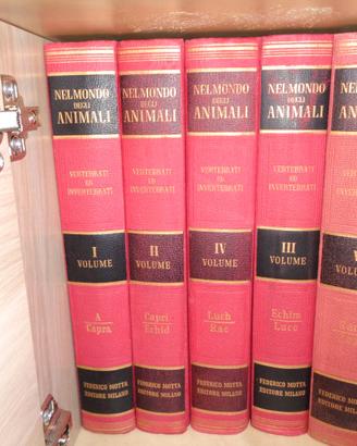 Enciclopedia Nel Mondo degli Animali