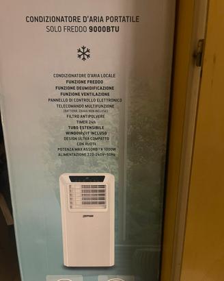 Condizionatore portatile
