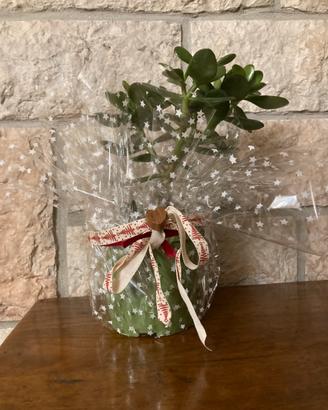 Albero di giada