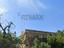 Immagine 7