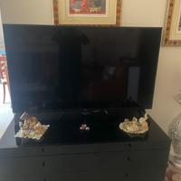 Tv LG 55pollici