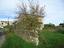 Immagine 26