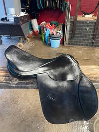 Sella inglese da salto