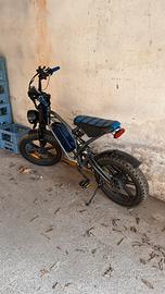Bici elettrica