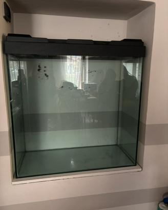Acquario