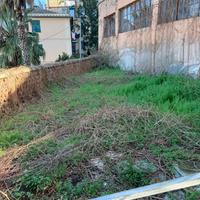 Vendita giardino
