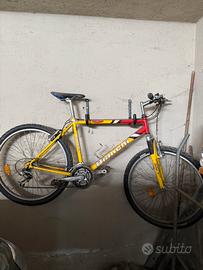 Mountain Bike Bianchi