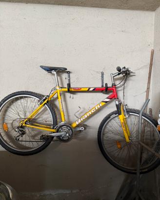 Mountain Bike Bianchi