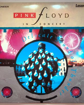 Laserdisc Pink Floyd - Delicate sound of thunder