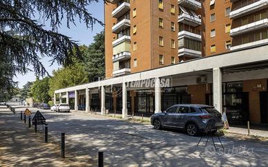 QUADRILOCALE RISTRUTTURATO CON GARAGE