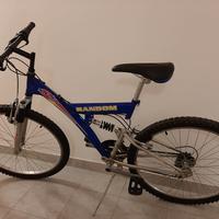 Mountain bike