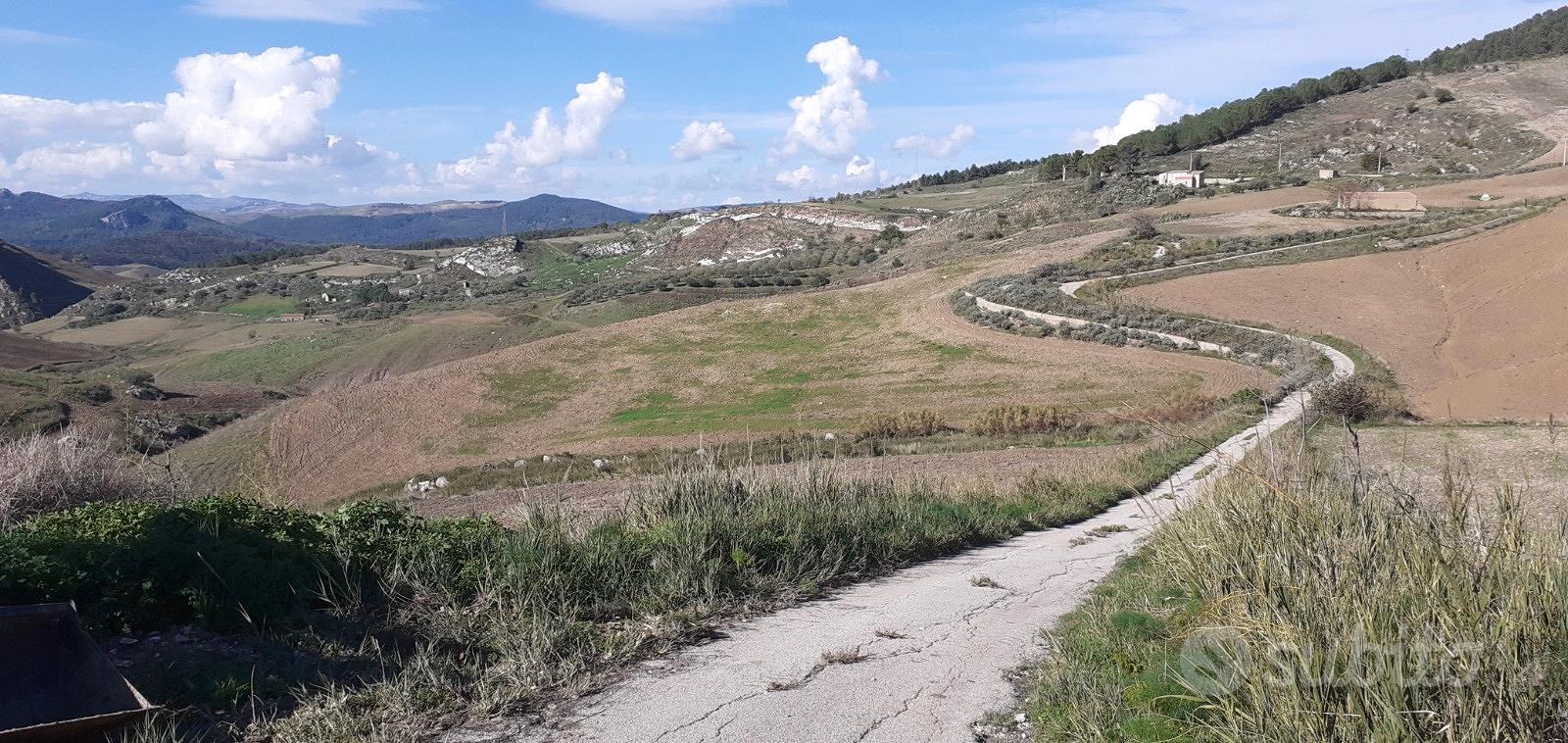 Terreno Agricolo Panoramico 20 Ettari - Vista 5