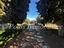 Immagine 19