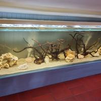 acquario 