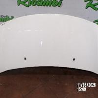 COFANO CON CERNIERE PER CITROEN C3 A51 2011