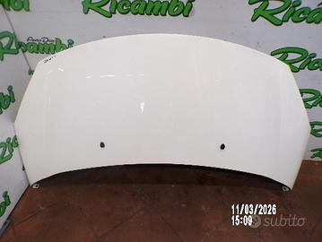 COFANO CON CERNIERE PER CITROEN C3 A51 2011