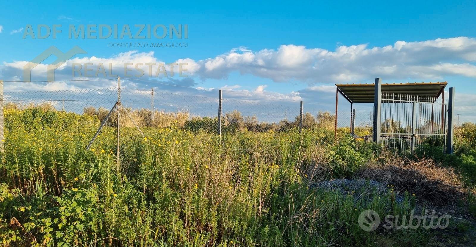 Terreno Agricolo Zona Tre Fontane - Vista 2