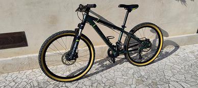 MTB 24 Rockrider ST920