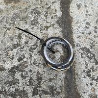 Frizione am6 originale