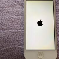 Iphone 5 32gb con custodia