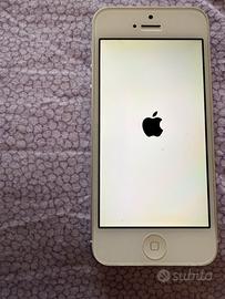 Iphone 5 32gb con custodia