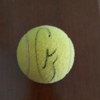 pallina da tennis firmata 