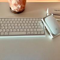 Tastiera Magic Keyboard A2450 + Magic Muouse A