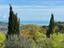 Immagine 24