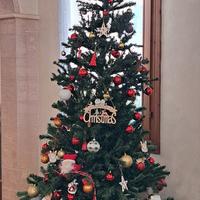 Albero di Natale