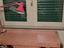 Immagine 6