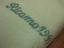 Immagine 3