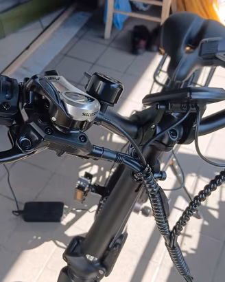 bicicletta elettrica 