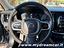 Immagine 7