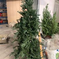 Albero Natale 190cm