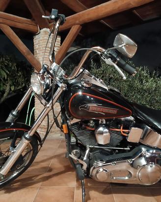 Harley Davidson Softail Custom del 91 